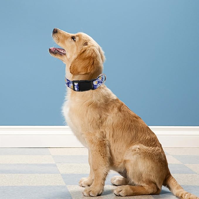 Reflective Dog Collar, Adjustable Soft Neoprene Padded Nylon Pet Collars - Image 2