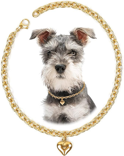 HOWWFALY Dog Collar and Cat Chain Necklace Stainless Steel Adjustable 18K Gold by HOWWFALY