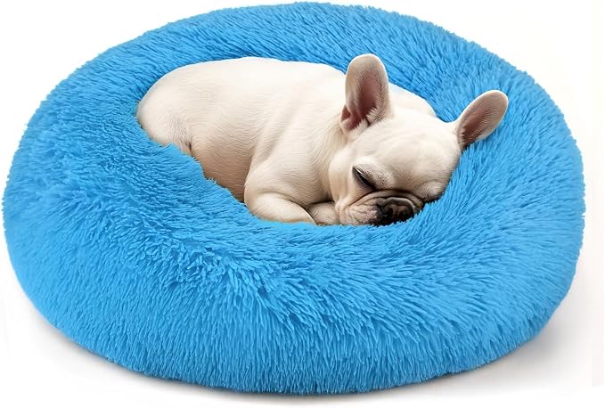 Hoewina Dog & Cat Bed, 20in Cat Beds by Hoewina