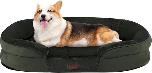 Dwanton Orthopedic Dog Bed for Medium Dogs by DWANTON