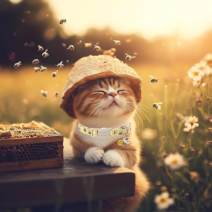 2 Pack Cute Cat Collars - Image 5