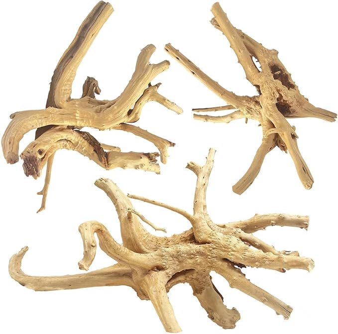 Jorewood Natural Large Spiderwood Driftwood by JOREWOOD