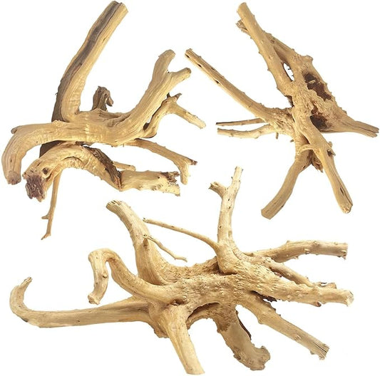 Jorewood Natural Large Spiderwood Driftwood by JOREWOOD