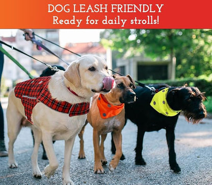 SPOT THE DOG! Reflective Dog Collar - Image 3