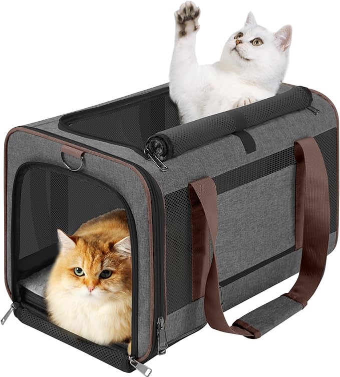 Small Dog Carrier Cage Soft Chihuahua / Softshell Big Cat Carrier Maine Coon / by GAPZER