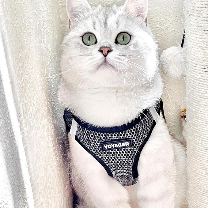 Best Pet Supplies - Image 8