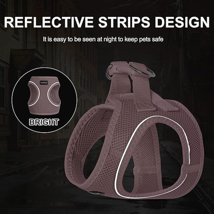 PetiFine Extra Small Step in Dog Harness and Leash Set, Cat Harness and Leash - Image 4