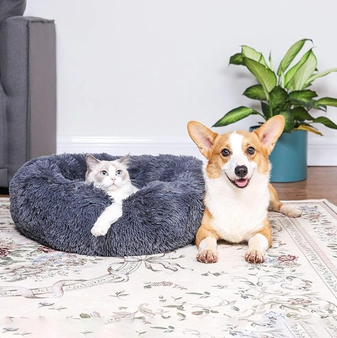 Cat Beds for Indoor Cats - Image 6