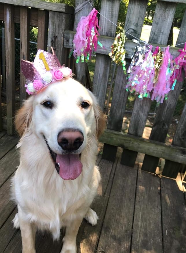 PET SHOW Pink Crown Dog Birthday Party Hat - Image 4