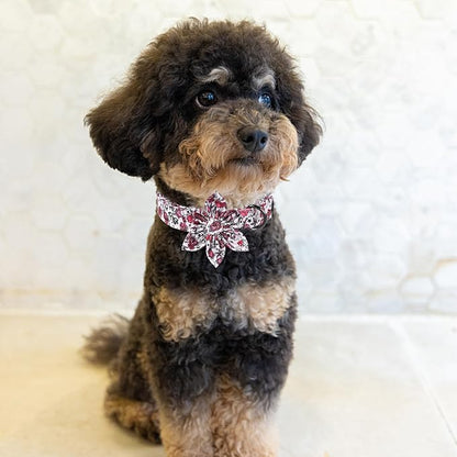 MR. CHUBBYFACE Valentine's Dog Collar - Image 4