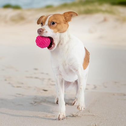 Best Pet Supplies Squeaky Dog Toys - Image 6