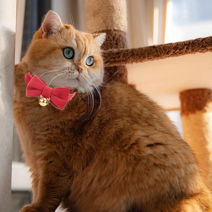 2 Pack Soft Corduroy Christmas Cat Collars - Image 7