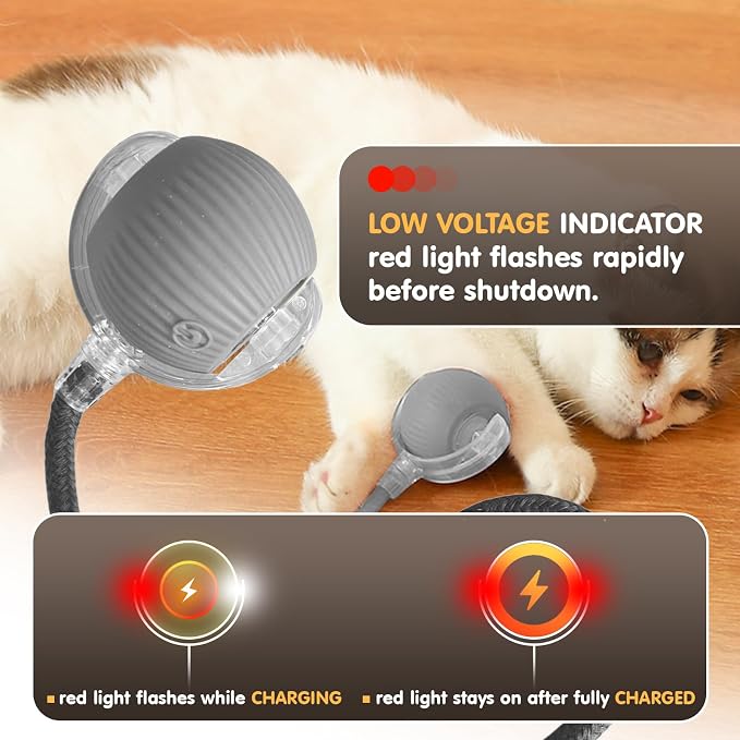 Rocfish Durable Interactive Cat Toys - Image 7