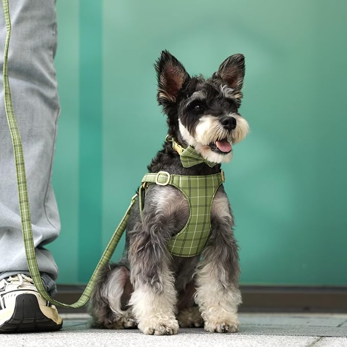 Beirui Cute Extra Small Dog Harness Collar and Leash Set - Image 3