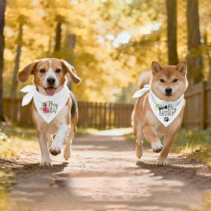 2 Packs Big Sister Brother Pregnancy Announcement Dog Bandana, Gender Reveal - Image 5