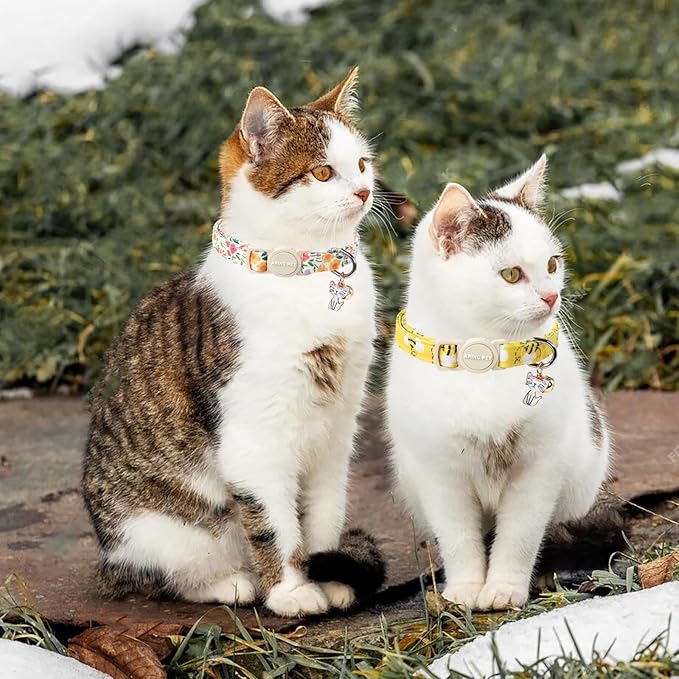 ARING PET 2 Pack Cat Collars-Cute Breakaway Cat Collar - Image 4