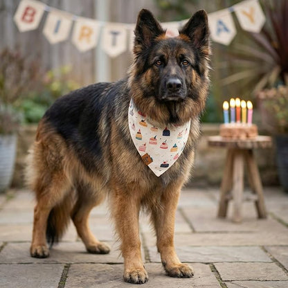 Birthday Dog Bandanas Extra Large, Reversible Colorful Cakes Stripes, Soft - Image 6