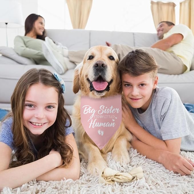 Baby Announcement Dog Bandana Big Sister to My Little Human Gender Reveal - Image 4