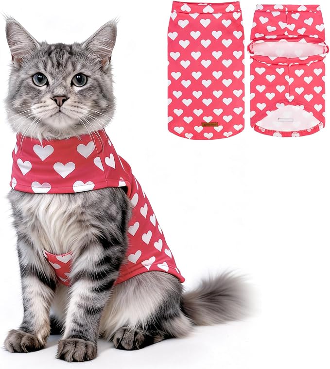 EXPAWLORER Cat Valentines Outfit Sweater by EXPAWLORER