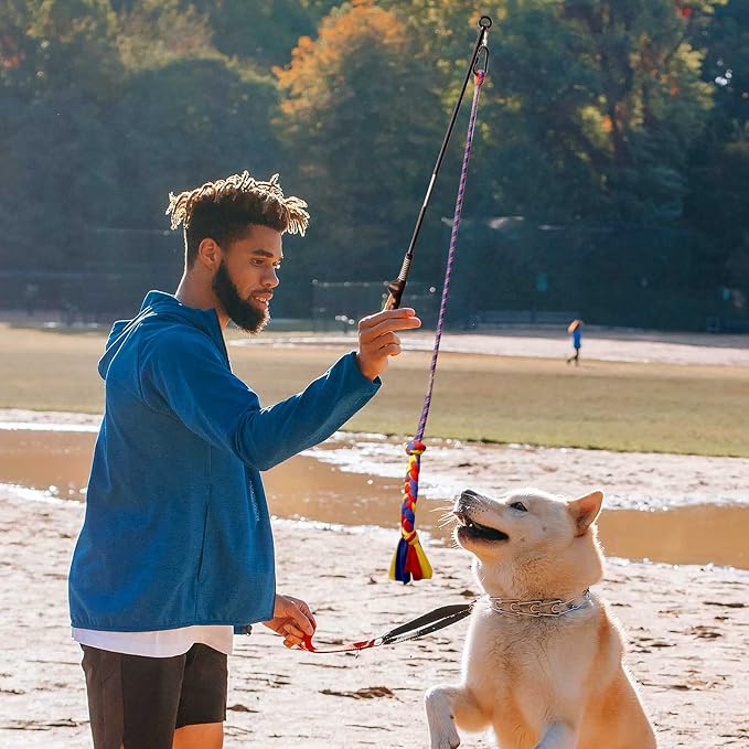 Flirt Pole for Dogs-Interactive Lures Durability Rope, Chase and Tug of war - Image 2