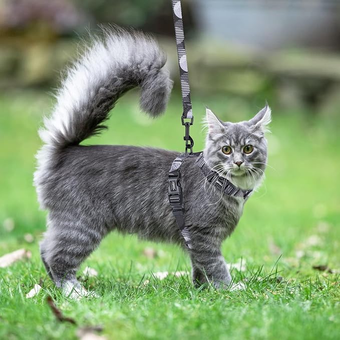 PUPTECK Adjustable Cat Harness and Leash Set Escape Proof Kitten Strap Collar - Image 7