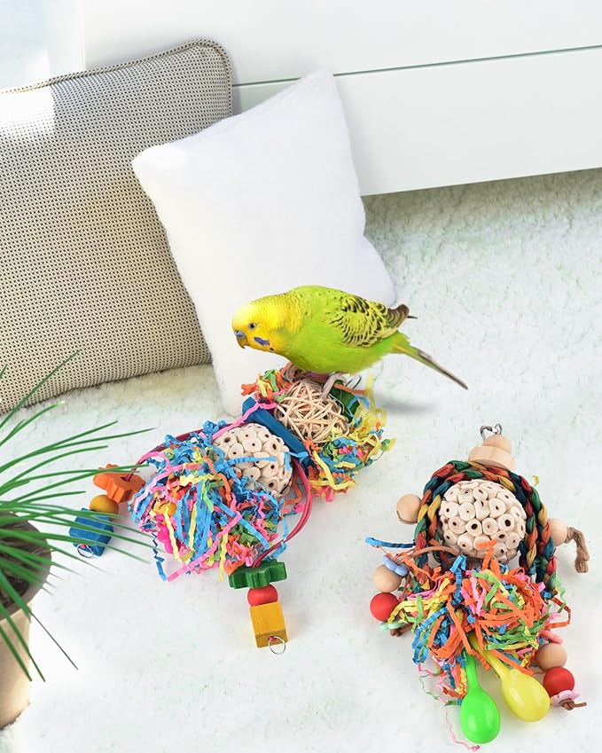 Bissap Conure Toys - Image 5