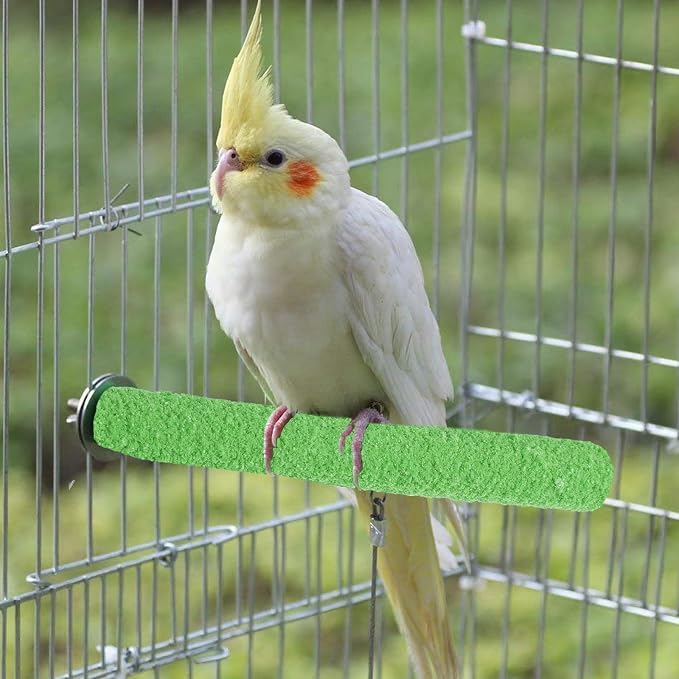 Parakeet Bird Perches for Cage - Image 6