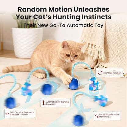 Rocfish Durable Interactive Cat Toys - Image 4