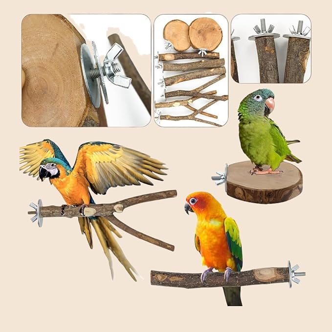 8-Piece Set Natural Wood Bird Perches - Image 3