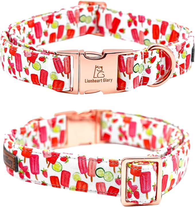 Lionheart glory Dog Collar, Dog Collar - Image 5