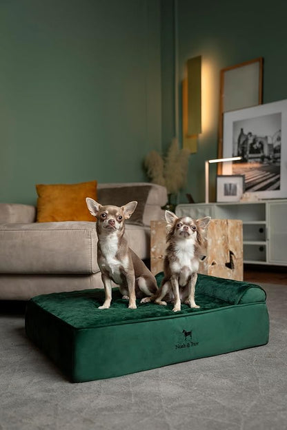 NOAH & PAW Dog Bed, Orthopedic Dog Beds - Image 2
