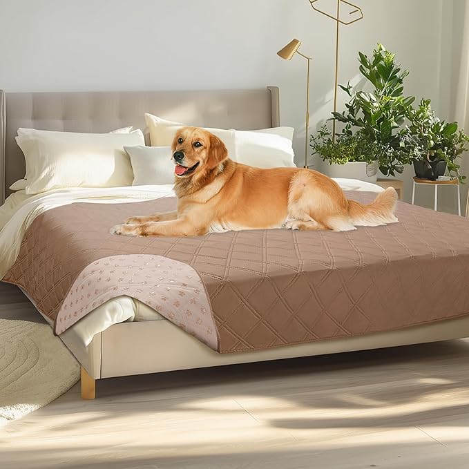 Luciphia 100% Waterproof Couch Cover Blanket by luciphia