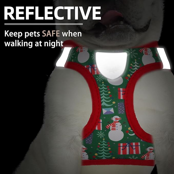 PUPTECK Adjustable Dog Harness Collar and Leash Set Step in No Pull Pet Harness - Image 5