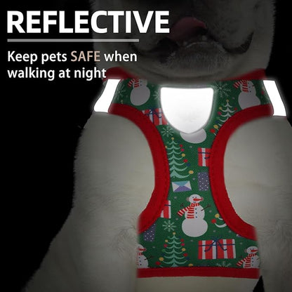 PUPTECK Adjustable Dog Harness Collar and Leash Set Step in No Pull Pet Harness - Image 5