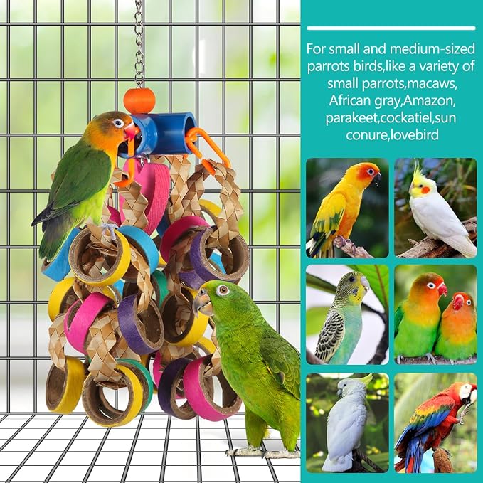 lovyoCoCo Bird Toys Conure Toys, Bird Parrot Foraging Shredder 24 Pcs Colorful - Image 3