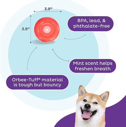 Outward Hound by Planet Dog Lil' Snoop Dog Toy – Treat‑Dispenser Puzzle Ball - Image 5