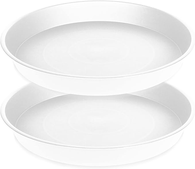 2 Pack of Bird Bath Bowl 12", 1.6" Depth, 10 12 inch Birdbath Bowls Dish Only by Bleuhome