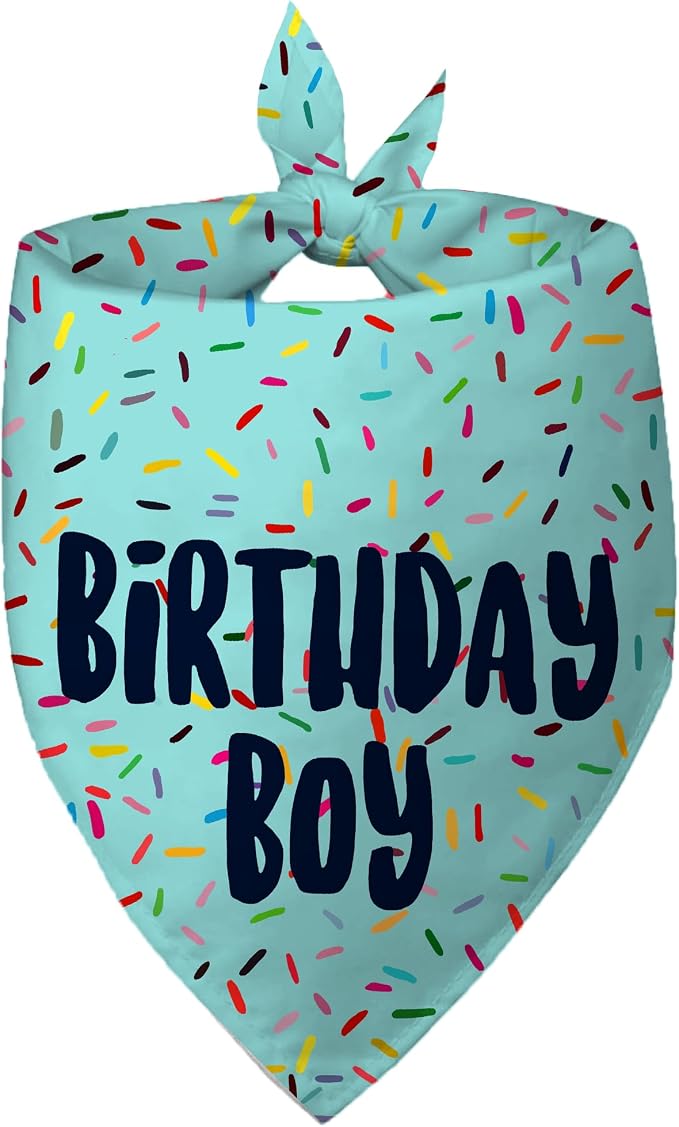Birthday Boy Dog Bandanas 1 Pack, HBD Pet Scarves by Yaofavo