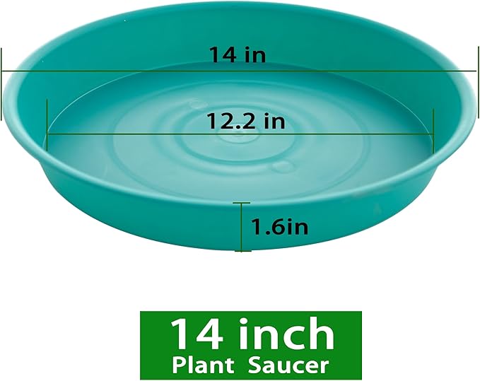 2 Pack of 14 inch Plant Saucers Bird Bath Bow Round, Plastic Plant Saucer Tray - Image 2