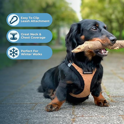Best Pet Supplies - Image 5