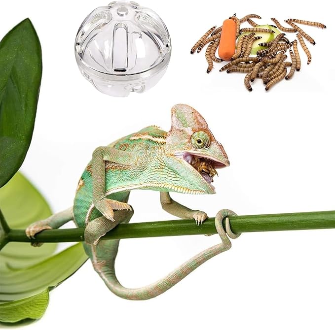 Bearded Dragon Feeder Toy Reptile Foraging Ball Lizard Enrichment Interactive - Image 4