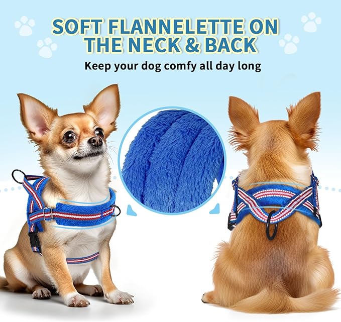 SlowTon No Pull Small Dog Harness and Leash Set, Puppy Soft Vest Harness Neck & - Image 2
