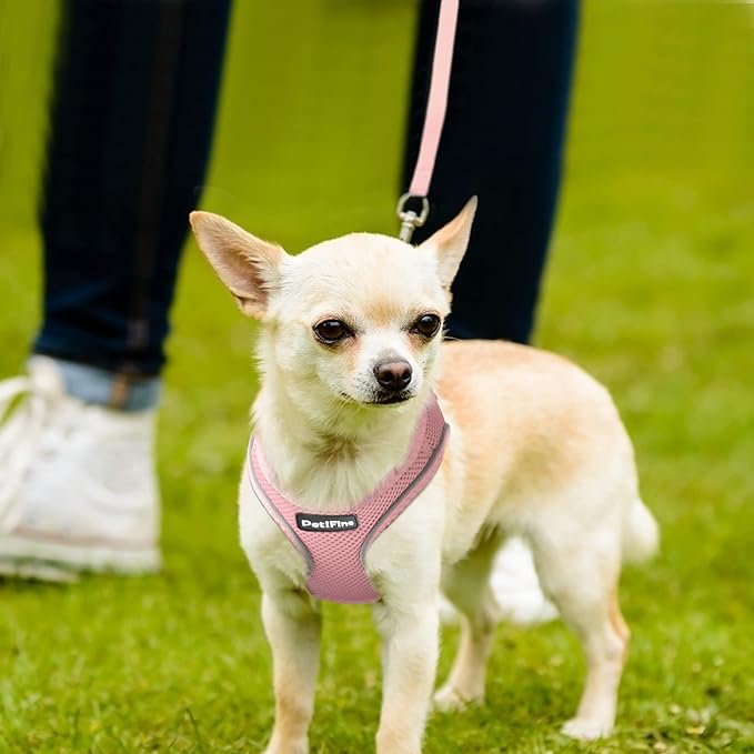 PetiFine Step in Small Dog Harness and Leash Set, Breathable All Weather Air - Image 8