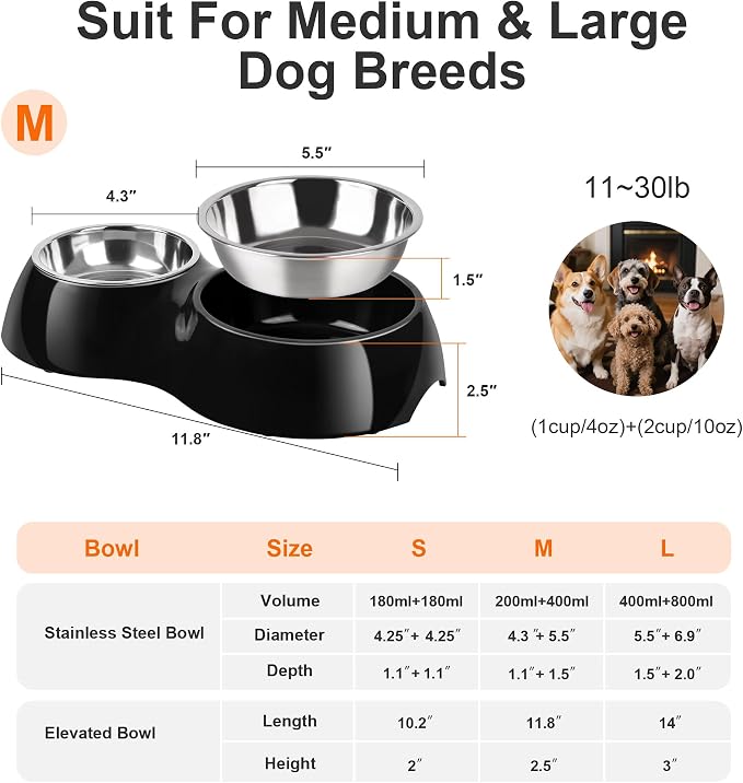 Double Dog Bowls Set – Non-Slip Pet Food & Water Dishes - Image 2