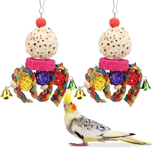 Wontee Bird Toys 3 Pack Parrot Foraging Hanging Toys Sola Ball Natural Nuts by Wontee