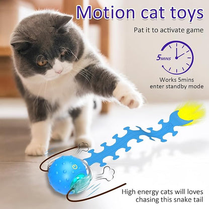 Interactive Cat Toys Ball for Indoor Cats Fast Rolling on Carpet, Chirping & - Image 3