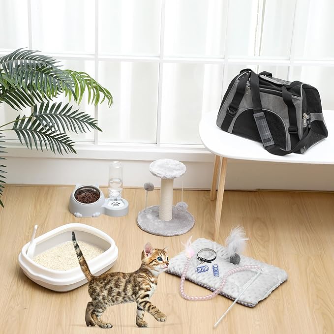 Eccliy Kitten Starter Kit, Pet Toy, Folding Carrier, Climbing Frame, Automatic - Image 2