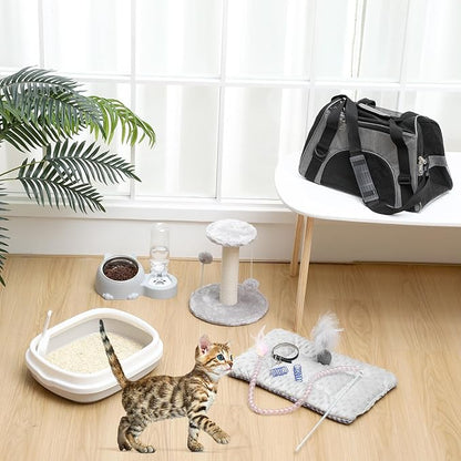 Eccliy Kitten Starter Kit, Pet Toy, Folding Carrier, Climbing Frame, Automatic - Image 2
