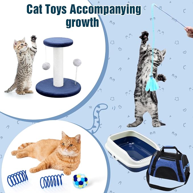 Eccliy Kitten Starter Kit, Pet Toy, Folding Carrier, Climbing Frame, Automatic - Image 7