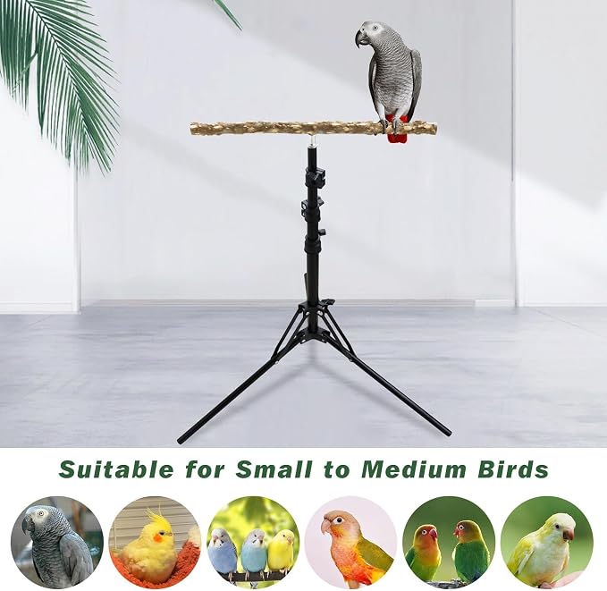 Wooden Bird Perch Stand with a Height Adjustable Tripod, Bird Training - Image 5